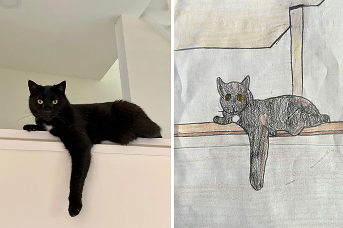 Shelter Raises Funds Through Bad Pet Drawings