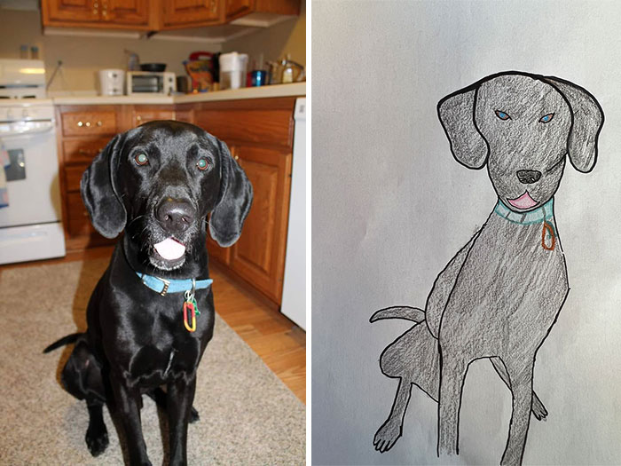 Shelter Raises Funds Through Bad Pet Drawings