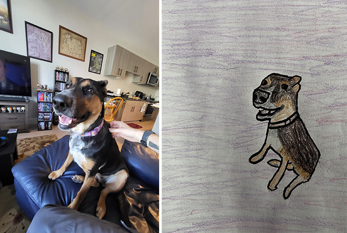 Shelter Raises Funds Through Bad Pet Drawings