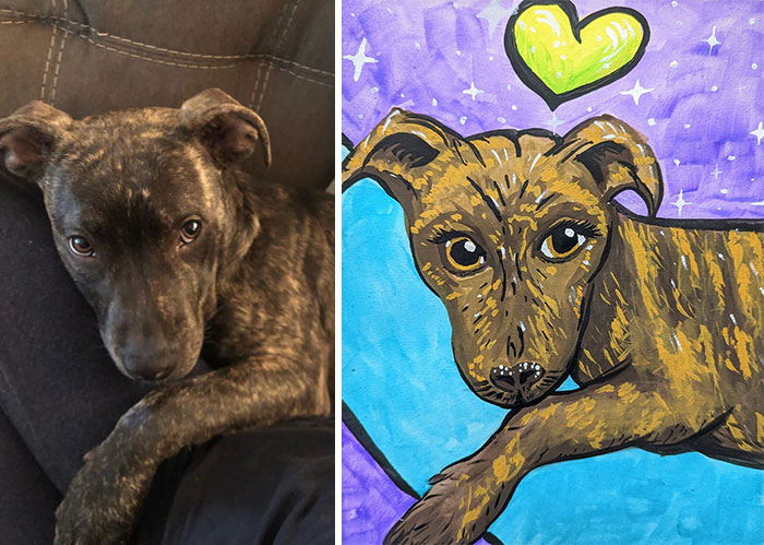 Shelter Raises Funds Through Bad Pet Drawings
