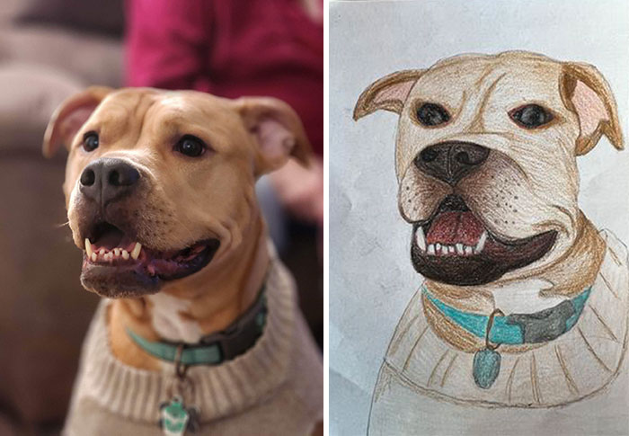 Shelter Raises Funds Through Bad Pet Drawings