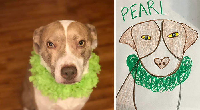 Shelter Raises Funds Through Bad Pet Drawings