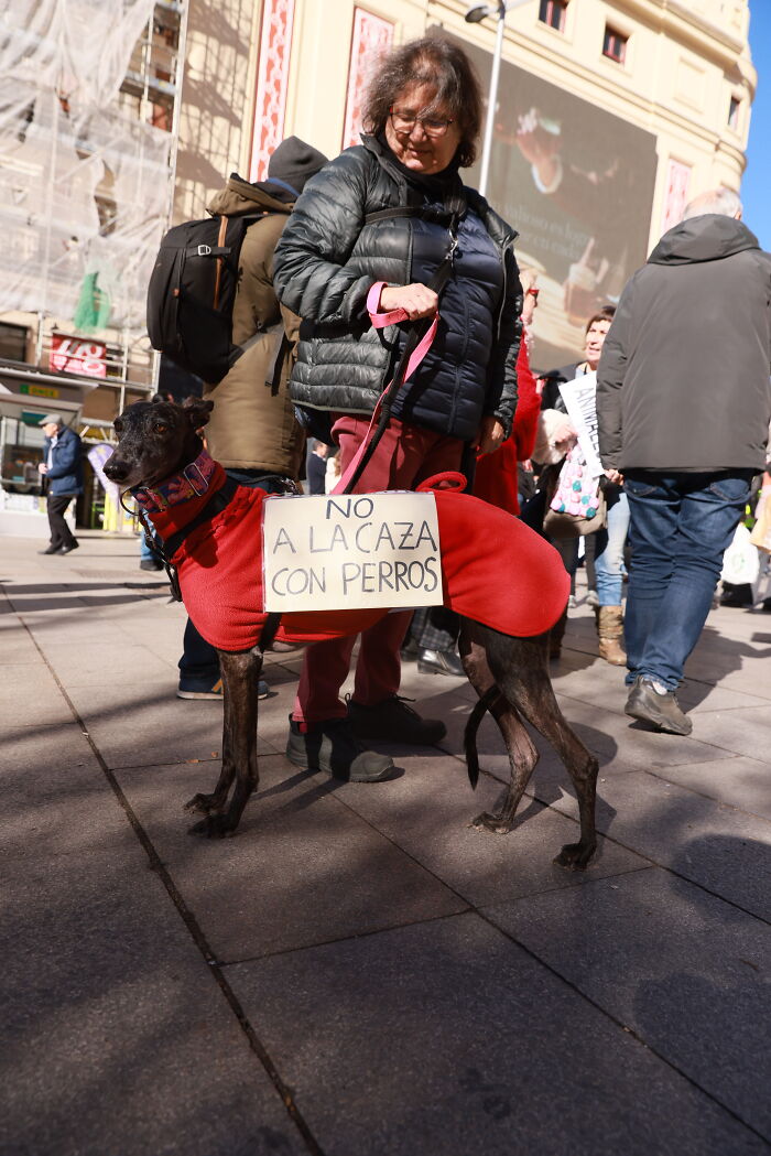 I Photographed Thousands Of People Protesting Against Animal Rights Bill In Spain To Spread Awareness