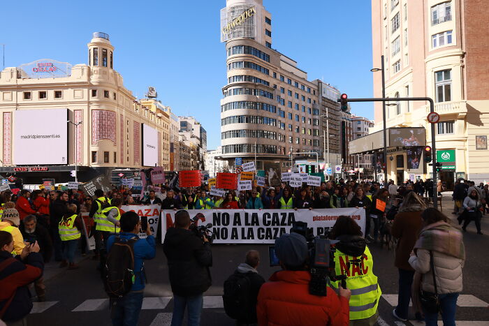 I Photographed Thousands Of People Protesting Against Animal Rights Bill In Spain To Spread Awareness