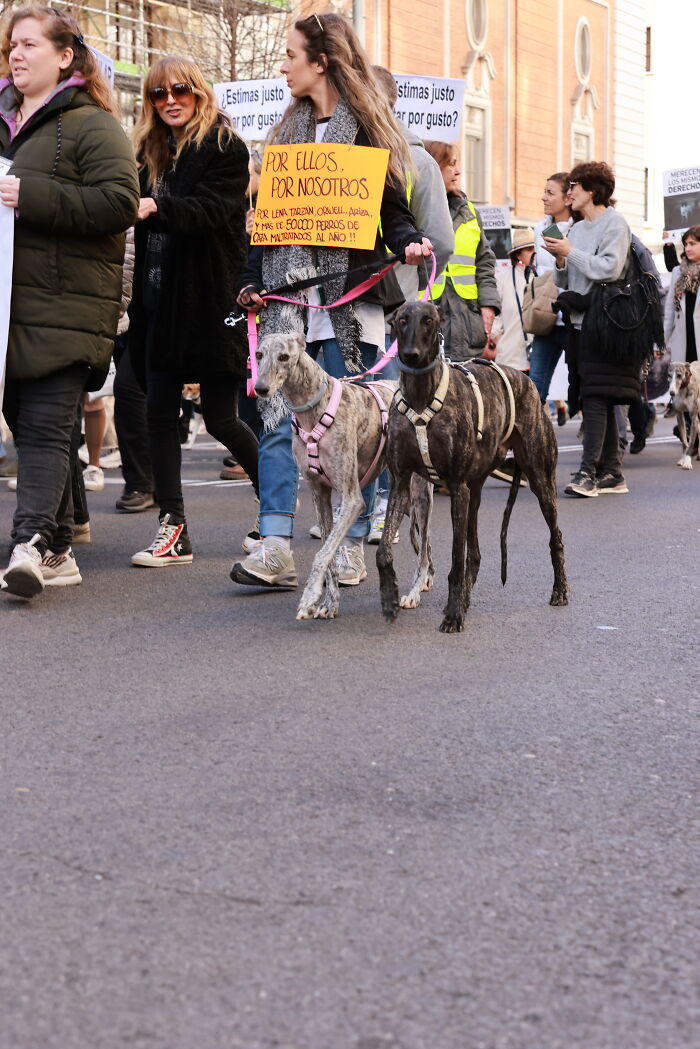 I Photographed Thousands Of People Protesting Against Animal Rights Bill In Spain To Spread Awareness