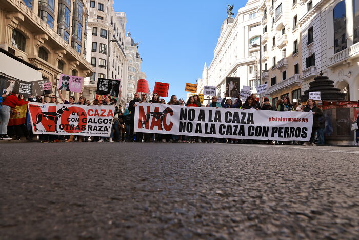 I Photographed Thousands Of People Protesting Against Animal Rights Bill In Spain To Spread Awareness
