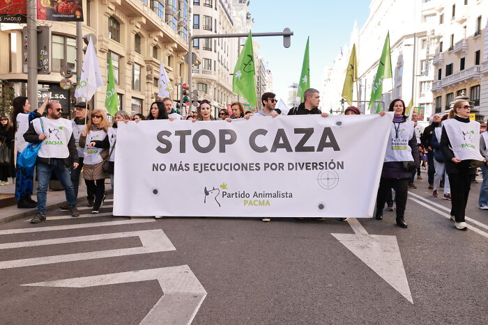 I Photographed Thousands Of People Protesting Against Animal Rights Bill In Spain To Spread Awareness