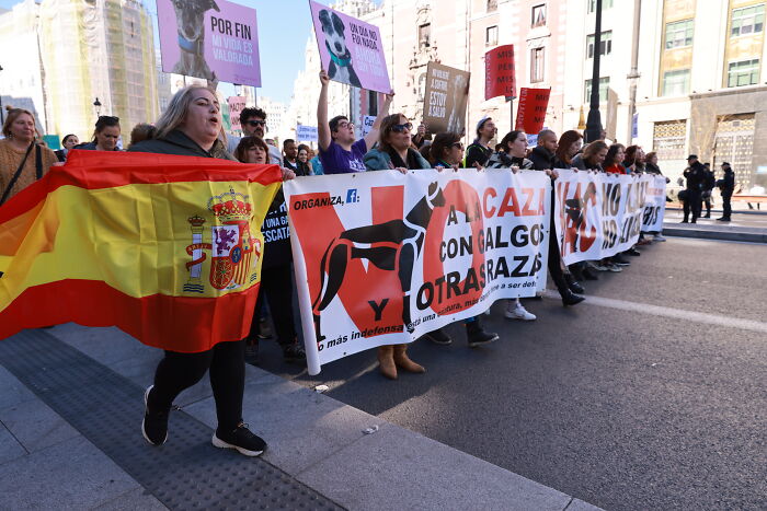 I Photographed Thousands Of People Protesting Against Animal Rights Bill In Spain To Spread Awareness