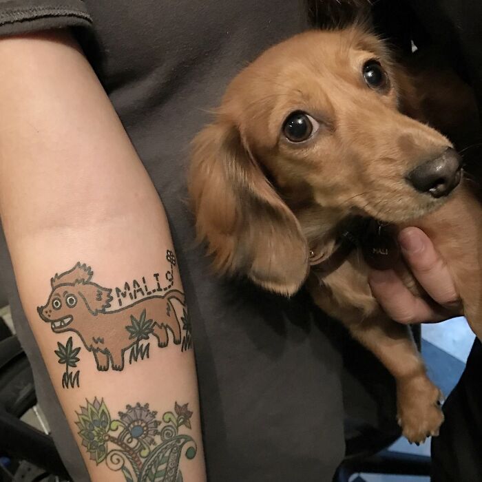 Tattoo artist's unique dog tattoo on arm next to matching brown dachshund.
