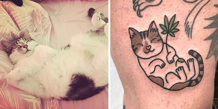 Cat tattoo by a unique artist, showcasing a playful feline with a plant, inspired by a real sleeping cat.