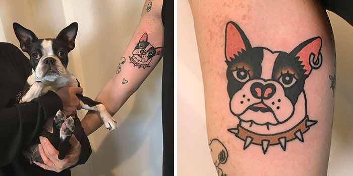 Unique tattoo of a dog with bold colors and spiked collar on an arm, showcasing creative animal designs.
