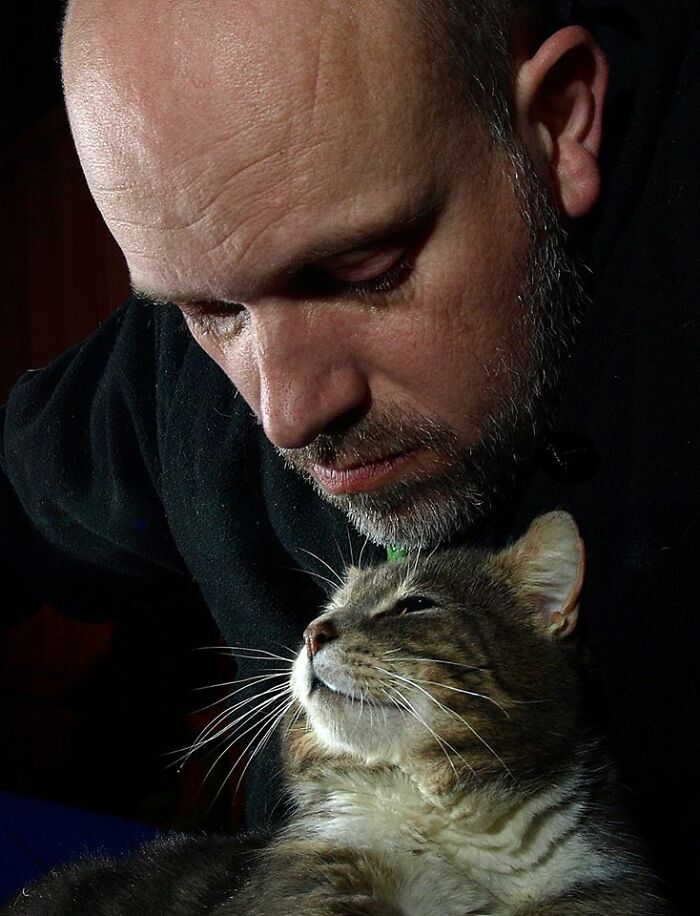 A Story Of A Stray Cat That Showed Up At Our Window And Came Into Our Life