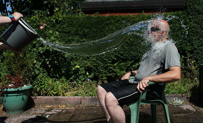 A Story Of A Stray Cat That Showed Up At Our Window And Came Into Our Life