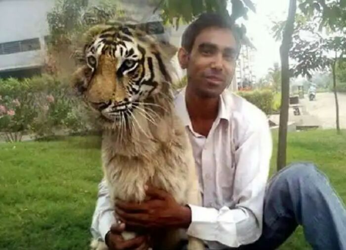 Who's A Good B... I Mean, Look How Brave I Am! (Search "Photoshop Gurus Of India" For More)