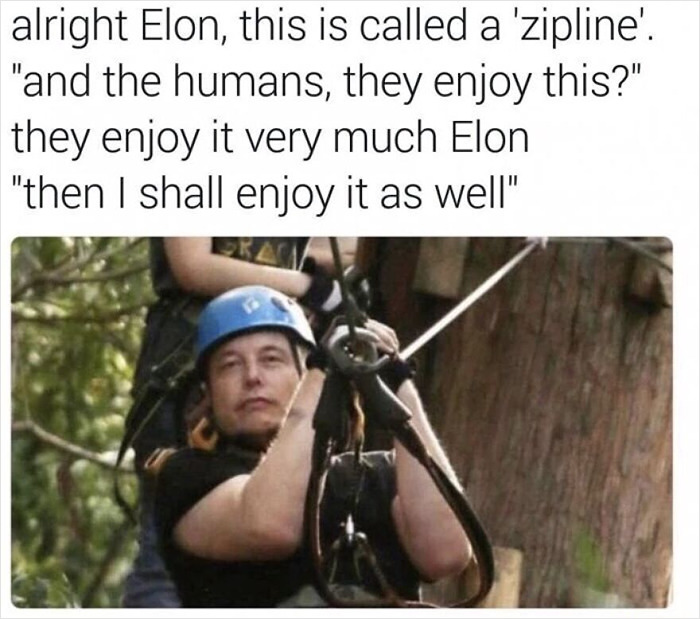 Oh Elon