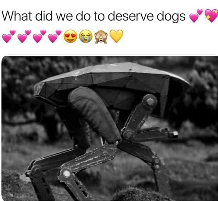 I Love My Normal Biological Canine