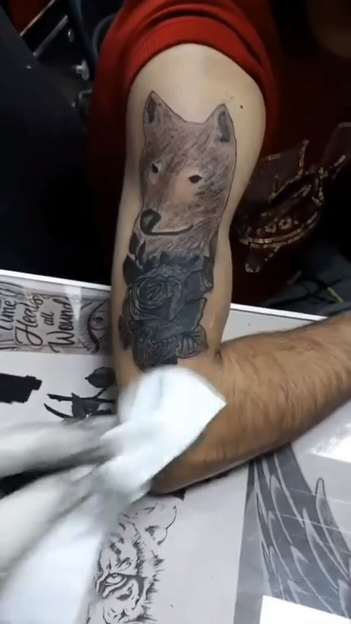 Poorly executed wolf tattoo design on a person's arm being cleaned with a cloth.