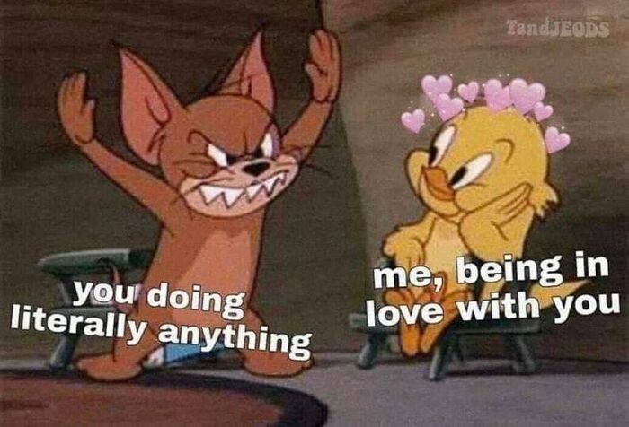 Cartoon meme about life with a boyfriend, featuring a cat and bird with humorous captions.