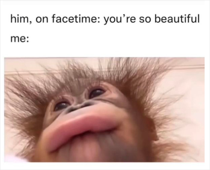 A funny meme depicting life with a boyfriend, featuring a humorous orangutan face in response to a compliment.