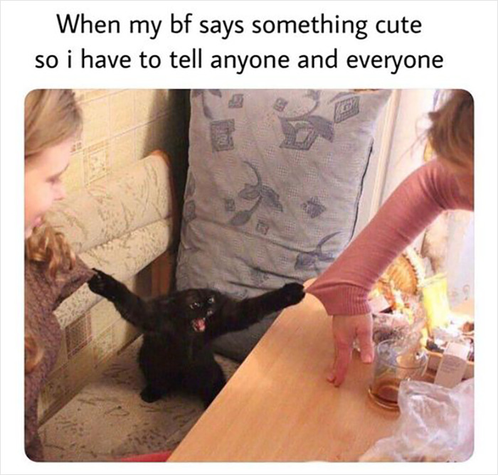 Cat enthusiastically reaching out, meme about life with a boyfriend.