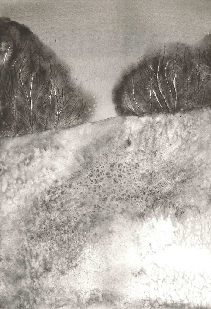 I Create Paintings With Charcoal And Salt And The Result Is Whimsical (18 Pics)