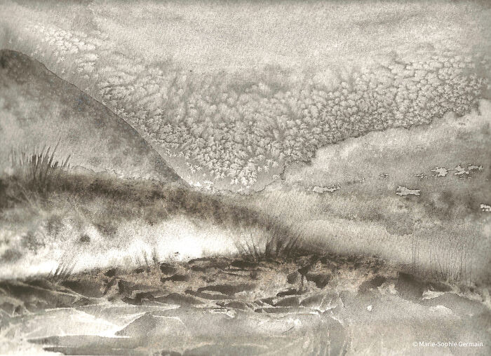 I Create Paintings With Charcoal And Salt And The Result Is Whimsical (18 Pics)