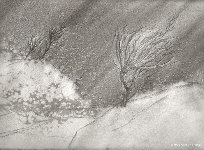 I Create Paintings With Charcoal And Salt And The Result Is Whimsical (18 Pics)