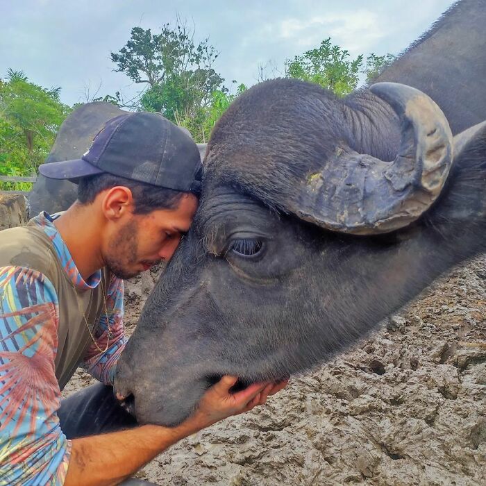 This Man From Brazil Who Lives On A Farm Shares A Beautiful Bond With A Rescued Capybara