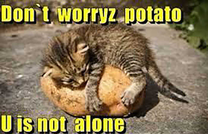 Ancient-Memes-Twitter