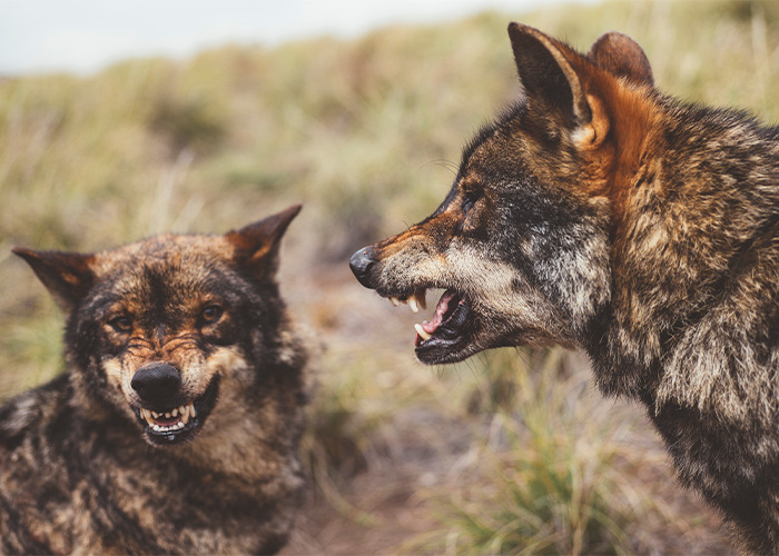 35 Annoying Myths That Some People Still Believe