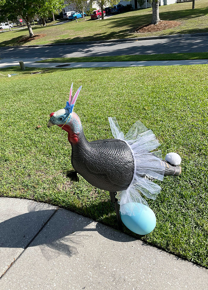 We Hid A Turkey In Our Neighbor's Yard On April Fools. Today I Woke Up To This In My Yard