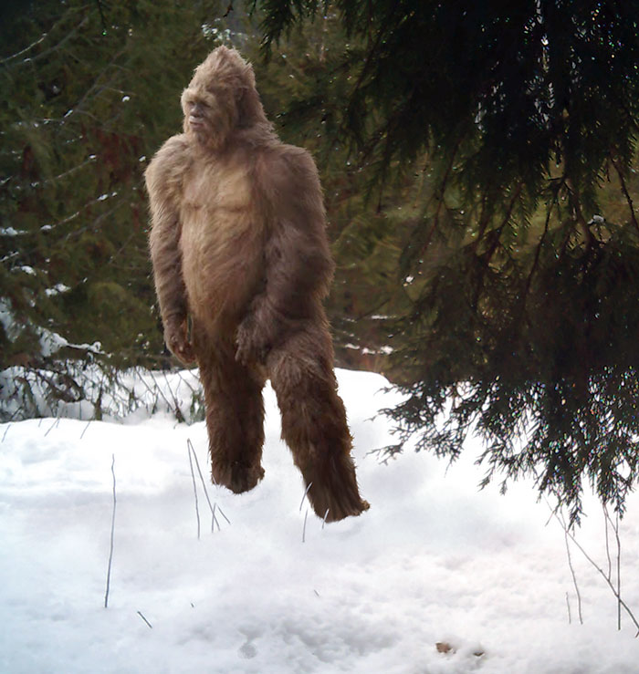 April Fools? Someone Stole My Dad's SD Card From His Trail Camera From The Middle Of Nowhere. Edited This In A Picture, Then Put It Back In The Camera. He Was Scared For An Hour