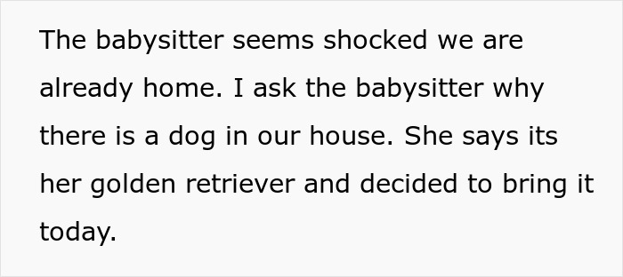 Babysitter Sneaks A Dog Into Her Clients&rsquo; Home Without Telling Them Beforehand, Gets Fired On The Spot