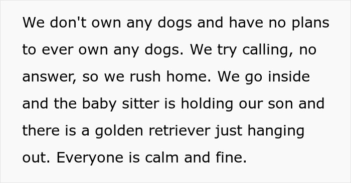 Babysitter Sneaks A Dog Into Her Clients&rsquo; Home Without Telling Them Beforehand, Gets Fired On The Spot