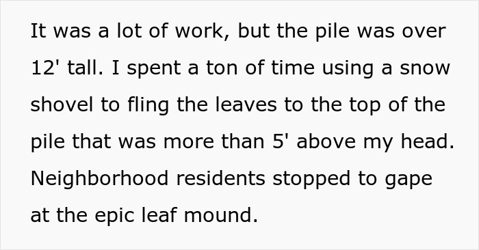 Man Buys The Rights To His Neighbors' Leaves To Mess With Leaf Collection Company's Ridiculous Rules By Building A Giant Pile Man Buys The Rights To His Neighbors' Leaves To Mess With Leaf Collection Company's Ridiculous Rules By Building A Giant Pile