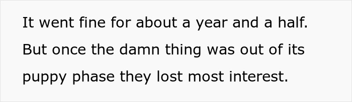 Man Never Wanted A Dog But Allowed His Wife And Kids To Have One As Long As They Took Care Of It, Gets Called A Jerk For Calling Out Their Neglect