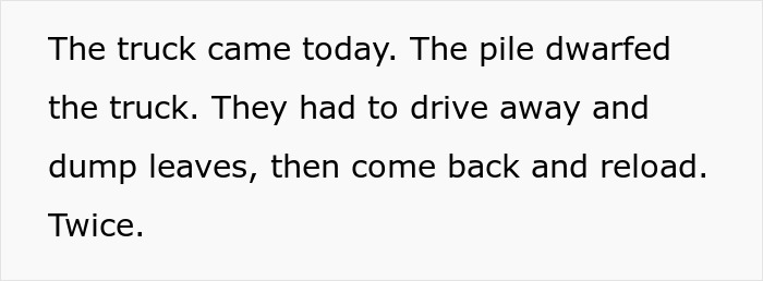 Man Buys The Rights To His Neighbors' Leaves To Mess With Leaf Collection Company's Ridiculous Rules By Building A Giant Pile Man Buys The Rights To His Neighbors' Leaves To Mess With Leaf Collection Company's Ridiculous Rules By Building A Giant Pile