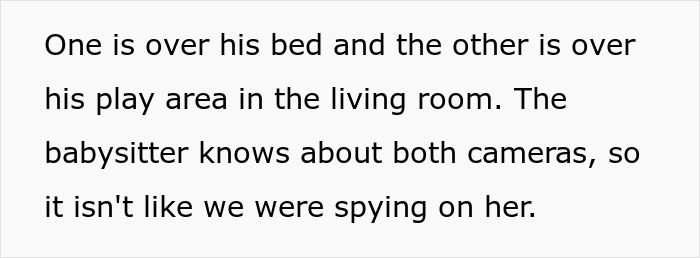 Babysitter Sneaks A Dog Into Her Clients&rsquo; Home Without Telling Them Beforehand, Gets Fired On The Spot