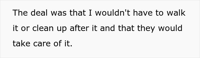 Man Never Wanted A Dog But Allowed His Wife And Kids To Have One As Long As They Took Care Of It, Gets Called A Jerk For Calling Out Their Neglect
