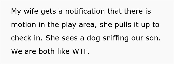 Babysitter Sneaks A Dog Into Her Clients&rsquo; Home Without Telling Them Beforehand, Gets Fired On The Spot
