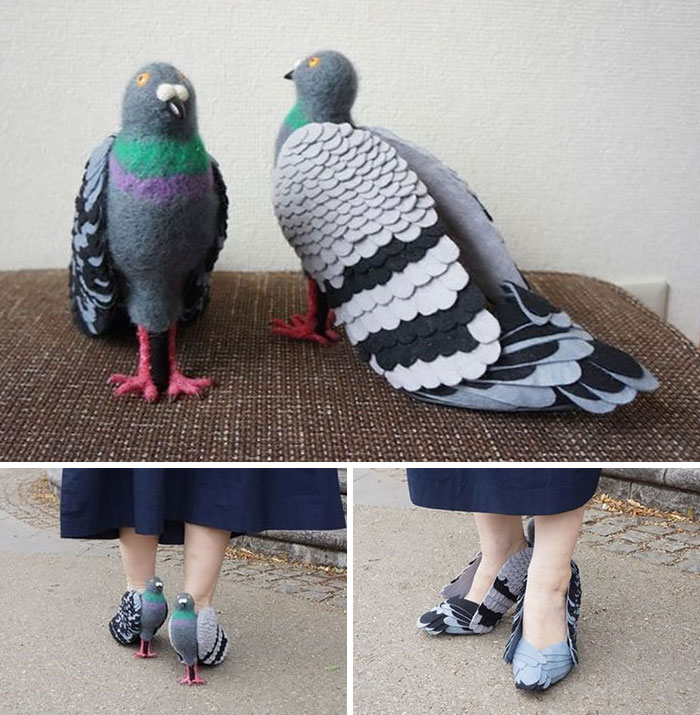 Pigeon Shoes