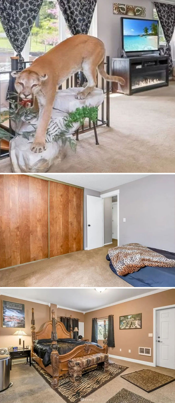 Bad-Home-Designs-Zillowstreet