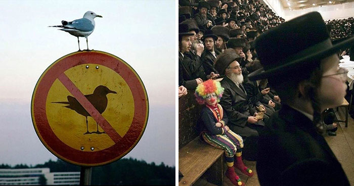 40 Images That Are So Cool And Unusual They Could Totally Work As Album Covers