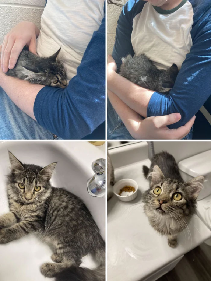 She Was Shaking Like A Leaf And Kept Burying Her Head In Our Arms