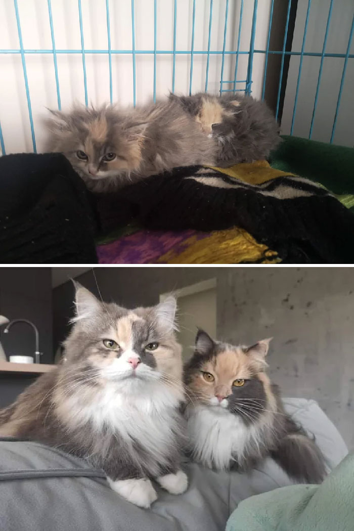 The Day They Were Found And 3 Years Later