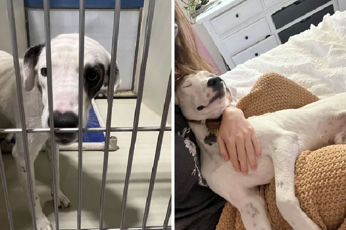 Only A One Month Difference For Petey!