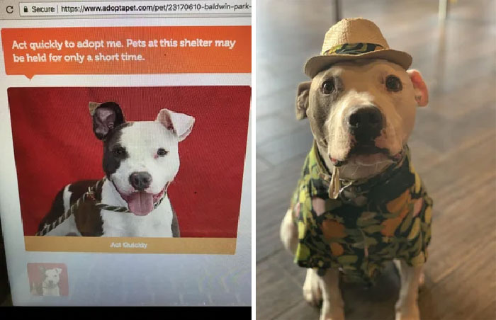 From The Shelter To Leaving The Best Life!