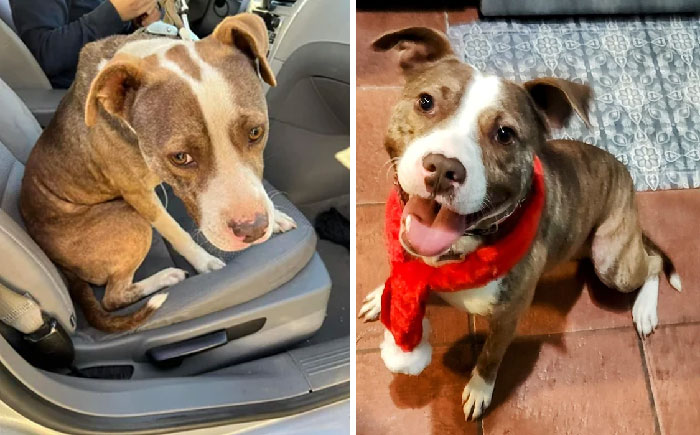 Santa Came Early For This Guy