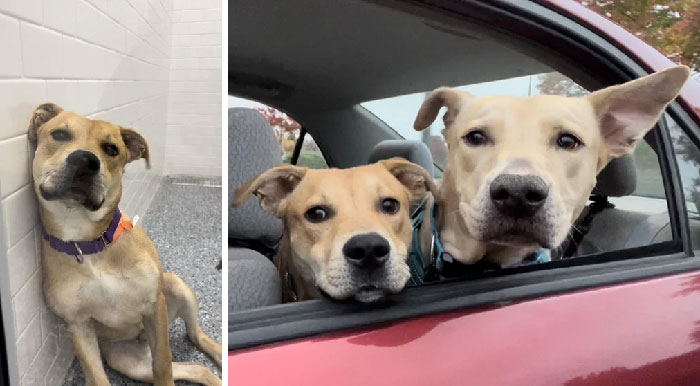 Just Over 2 Weeks Being Home, But Wow The Energy Difference!