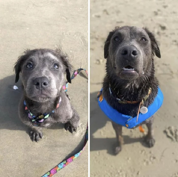 My Tiny Baby Is All Grown Up